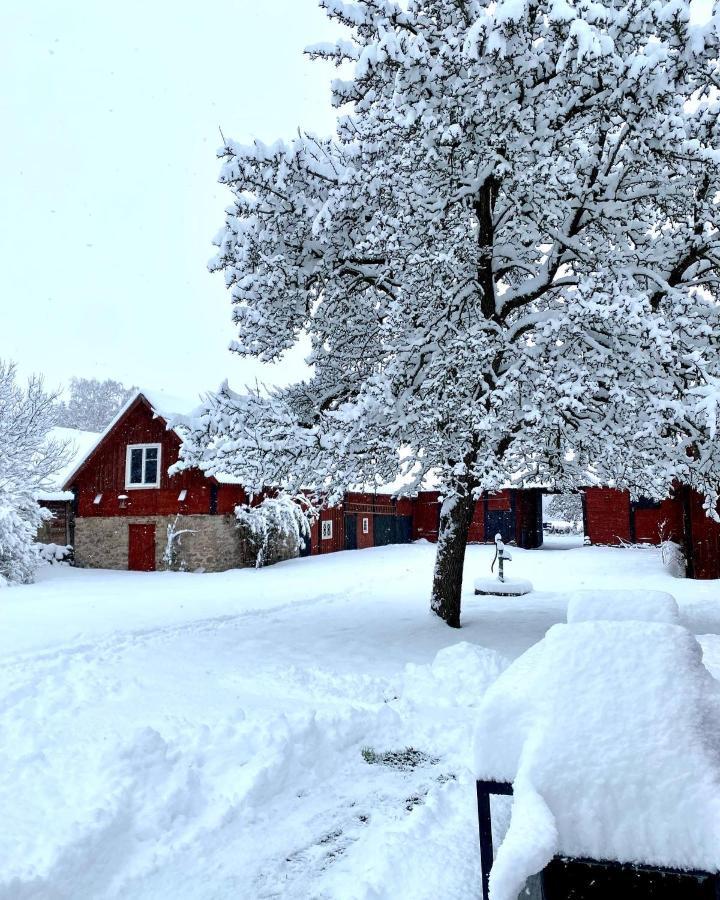 Bo I Egen Stuga Pa Haerlig Oelandsgard เชอพิงส์วิค ภายนอก รูปภาพ